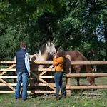 Camping Maison En Location Avec Terrasse Pour 4 Personnes - Api-1-52-1733 *