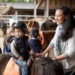 Maison En Location Avec Terrasse Pour 4 Personnes - Api-1-52-1733 Camping